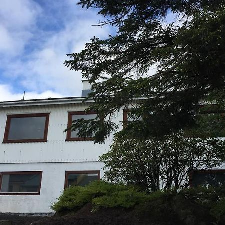 The Perfect Base In Torshavn Appartamento Esterno foto