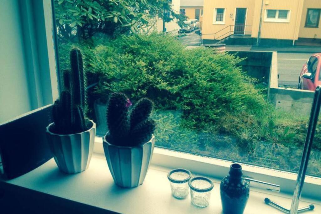 The Perfect Base In Torshavn Appartamento Esterno foto
