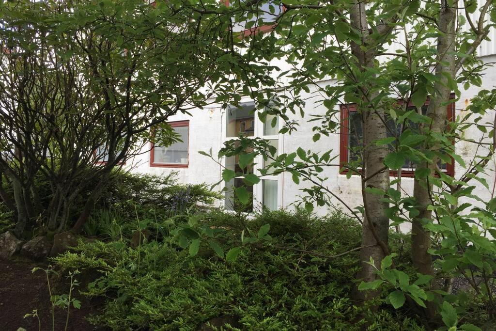 The Perfect Base In Torshavn Appartamento Esterno foto